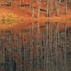 Autumn sensation