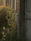 Luce su tela Luce su tela