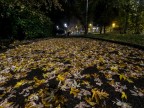 Autunno Autunno