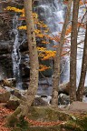 Cascate del Dardagna