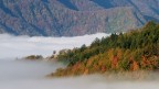 Parco Nazionale delle Foreste Casentinesi