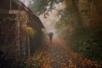 Passi nella Nebbia Passi nella Nebbia