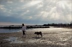 Monfalcone img.090