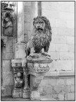 Hic Sunt Leones Hic Sunt Leones