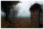 Nebbia sulle colline di San Colombano al Lambro Mi.