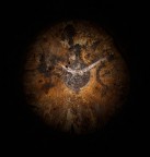 le dieci e dieci.....ora della recisione le dieci e dieci.....ora della recisione