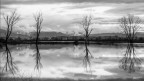 Riflessi al Tramonto..4 Riflessi al Tramonto..4