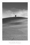 L'albero solitario L'albero solitario
