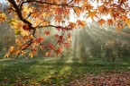 Autunno a Milano
