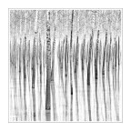 spettrale... spettrale...