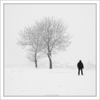 il bianco silenzio... il bianco silenzio...