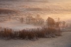 Frost fog and fantasy