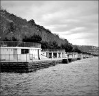 I Topolini di Trieste I Topolini di Trieste