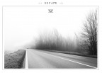 ::: E S C A P E :::