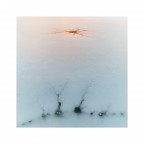 Alba sugli Alberi Ghiacciati Alba sugli Alberi Ghiacciati