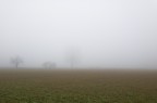 Anno nuovo, vecchia nebbia.