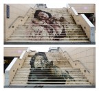 Cane e gatto Cane e gatto