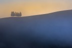 contrasti nebbiosi