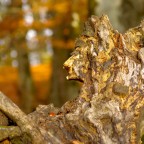 Gran capo Apache Geronimo Gran capo Apache Geronimo