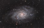 La galassia M33, nella costellazione del Triangolo.
Una galassia relativamente "vicina", dista da noi circa 3 milioni di anni luce.
Sostanzialmente, l'immagine che vedete rappresenta la galassia così com'era 3 milioni di anni fa...

Immagine ottenuta integrando 33 scatti da 5 minuti ciascuno, camera di ripresa: ASI 183 MC-Pro su Celestron RASA 8 (400mm f/2). Filtro anti inquinamento Optolong L-Pro.
Elaborazione con PixInsight e StarTools