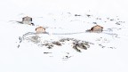 Baite a Kasern (Bz) Baite a Kasern (Bz)