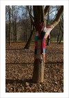 Anche gli alberi tremano