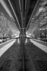 AraPacis_RM_Gen22