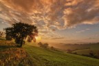 Una splendida luce nella campagna Marchigiana 
Suggerimenti e critiche sempre ben accetti