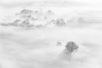 Foggy atmosphere
