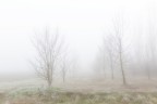 Nebbia e brina 2 Nebbia e brina 2