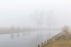 Riflessi nella nebbia Riflessi nella nebbia
