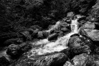 Torrent
