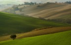 Colline Maceratesi Colline Maceratesi