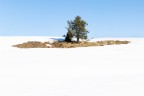 Una insolita isola Una insolita isola