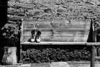Rest
