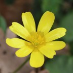 sensazioni sensazioni