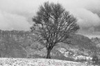 Nevica Nevica