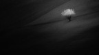 L'ultimo raggio BW L'ultimo raggio BW