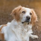 Ringo Starr &amp;#129392;