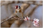Primo giorno di primavera Primo giorno di primavera