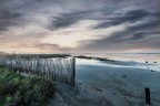 Camargue Marzo 2018 Camargue Marzo 2018