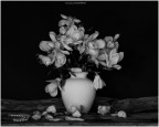 collana di perle...