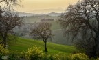 La campagna si colora