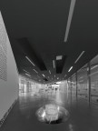 Maxxi 3