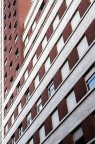 urban #83
