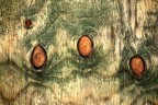 Buongiorno...e tre ova...di Pasqua