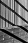 Rette e diagonali