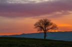 alba sulla Val d'Orcia alba sulla Val d'Orcia