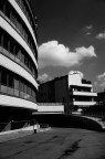 Linee dritte , curve e oblique Linee dritte , curve e oblique