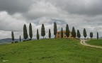 I cipressini di Pienza. I cipressini di Pienza.
